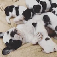 限工行信用卡:Kindle Paperwhite X 故宫文化20