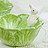 一朵白菜兔