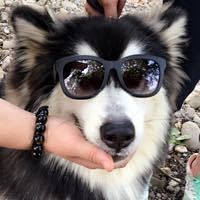 Iriver 艾利和 AK Jr & SONY 索尼 A35伪开箱附